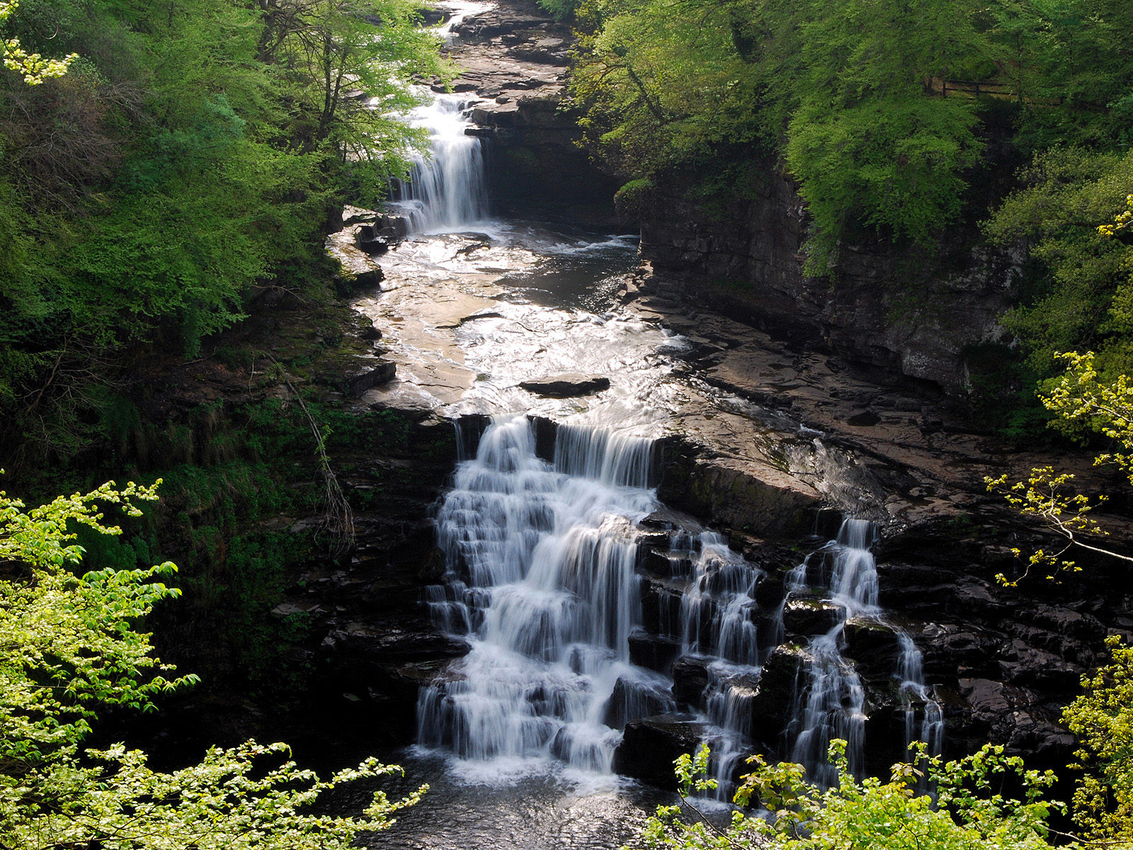 Falls Of Clyde Best Background Full HD1920x1080p, 1280x720p, – HD Wallpapers Backgrounds Desktop, iphone & Android Free Download